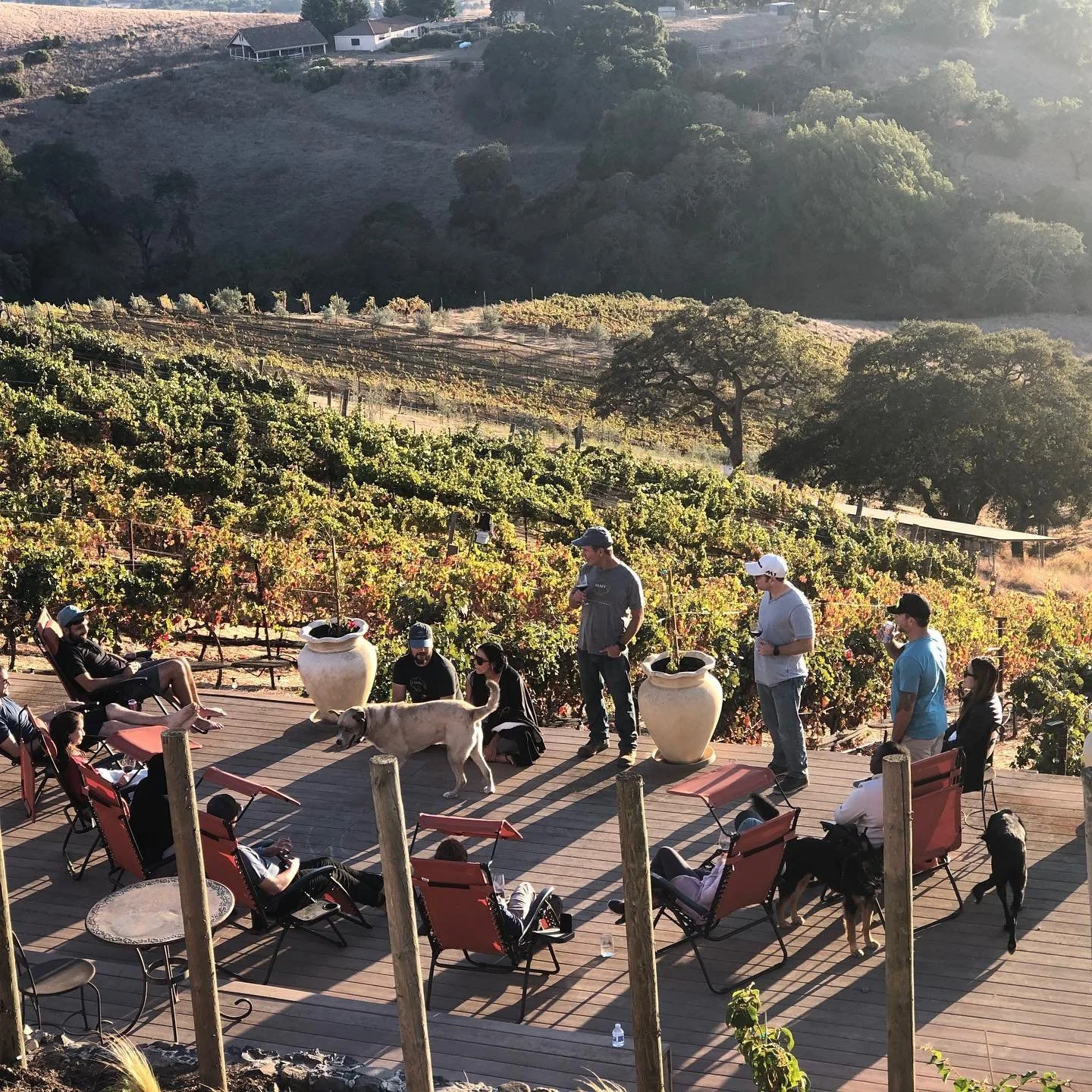 Moose Mountain Vineyards