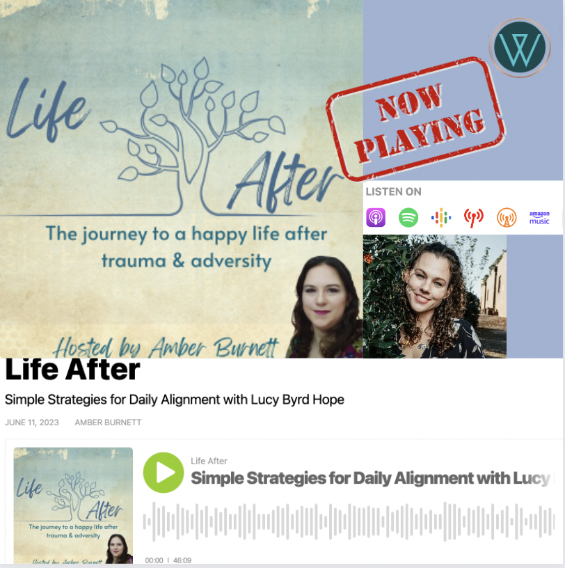 Screen Shot 2023-06-12 at 9.49.22 PM.png