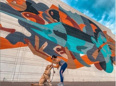 &quot;The soul becomes dyed with the color of its thoughts.&quot; 🌈
#repost from #Fitzcontemporary #artist #Rekaone 
.
.
.
Check out this amazing #mural in #jacksonville #Florida and even more of RekaOne's work on Fitzcontemporary.com!
