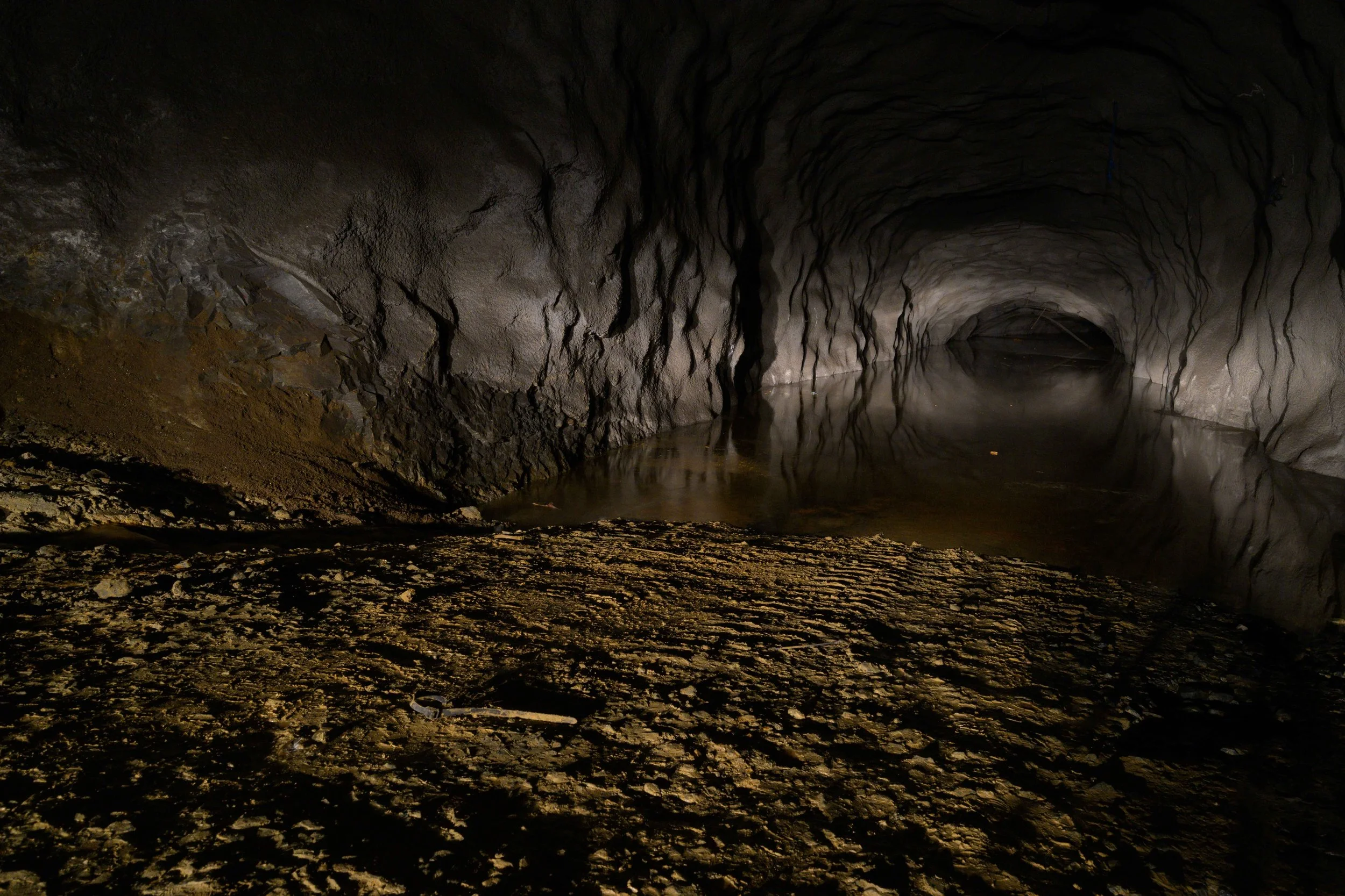 Work in progress: The Last Miners