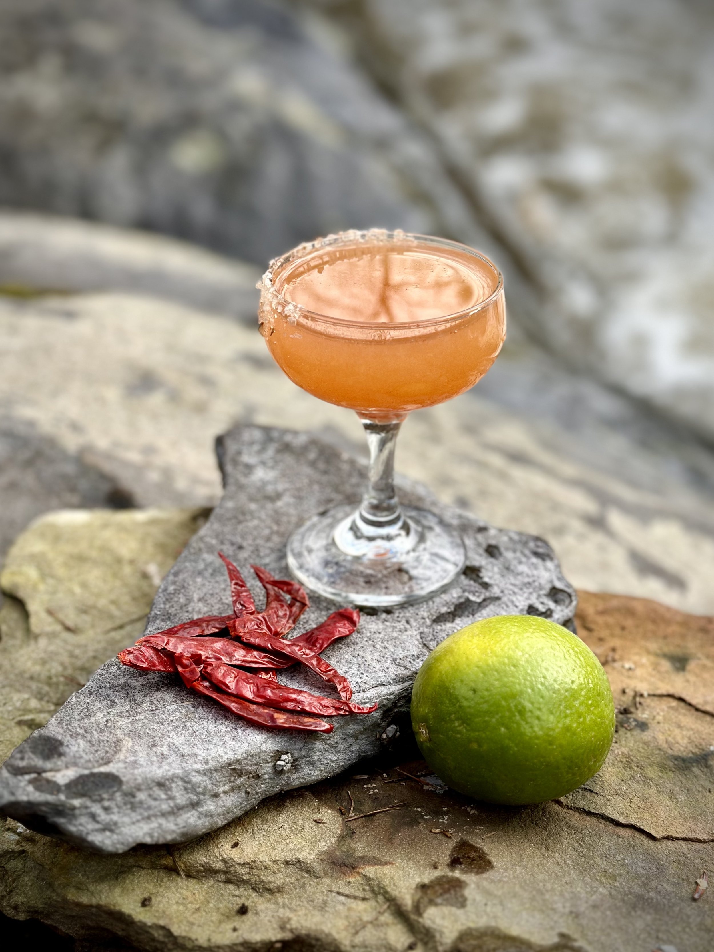 Salt-rimmed craft cocktail in a coupe glass on a slate rock with dried red chilies and a lime, by The Catskills Cocktail Club