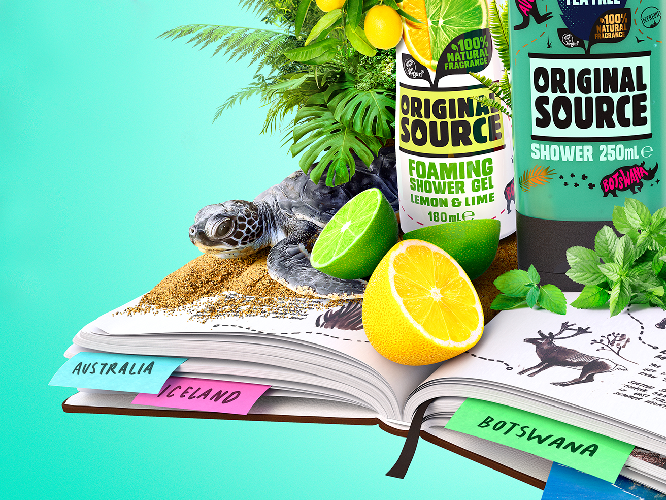 Original Source – Pack more in