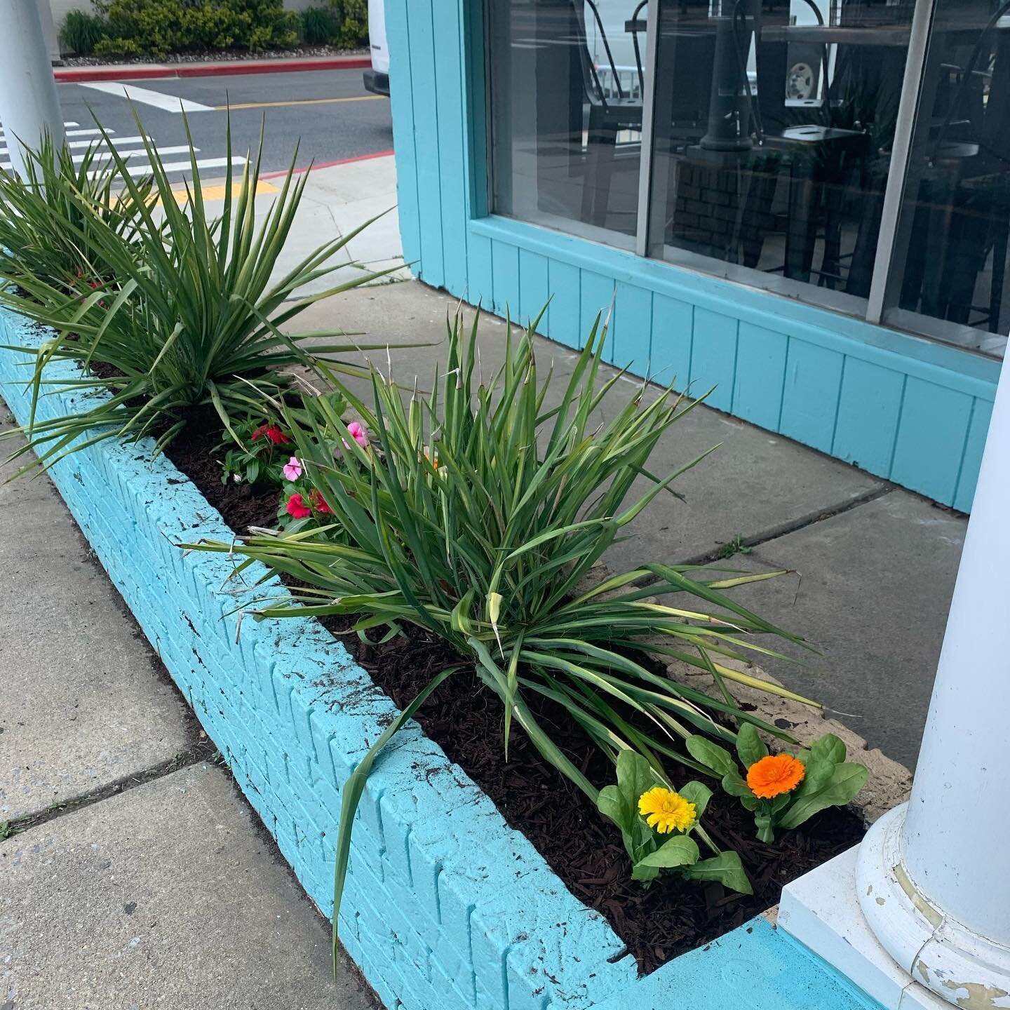 We&rsquo;re getting closer and closer to opening day as paint, flowers and bike rack are finally all in here on 15th Street!!

We have some big things to share with you tonight so keep an eye on our page!🤩

#surfinbettys #eatbettysburgers #newconstr