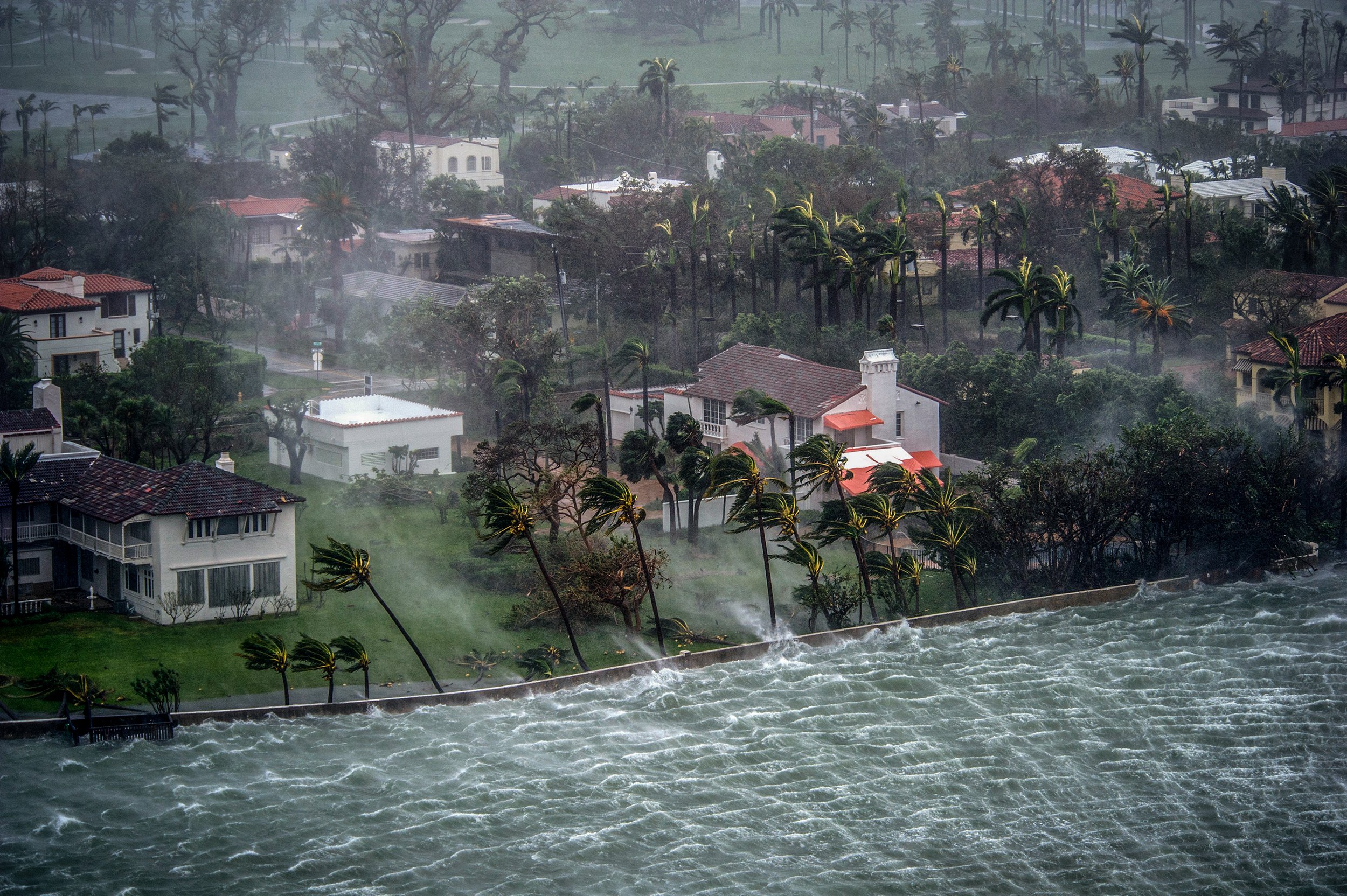 Irma Hurricane-2.jpg