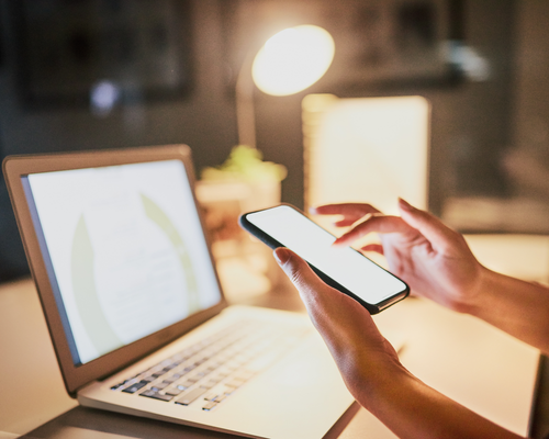 Social Media Audit
