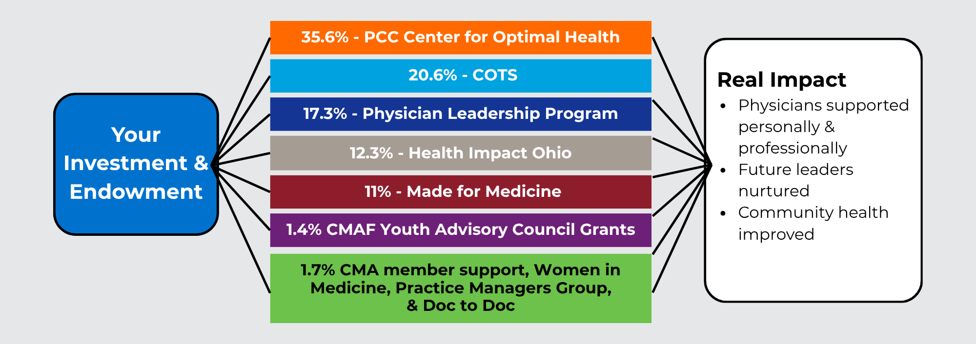 Chart showing the percentage of CMA Foundation funds provided to various programs.