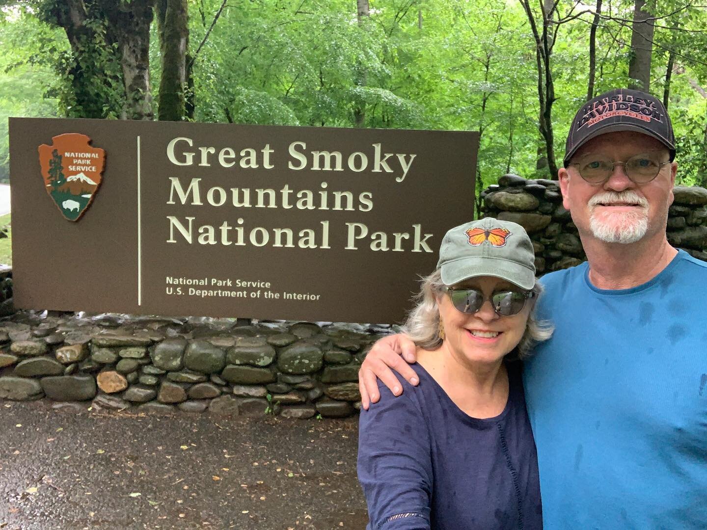 Hangin&rsquo; out here in these green smoky mountains with the wildlife is such a treat!

The black bear on the roadside.

The turkeys in the grass &amp; thickets.

The deer in the meadows.

The bear cub in the trees beside our trail.

The salamander