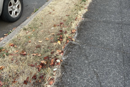 What is GROW NATIVE VANCOUVER?