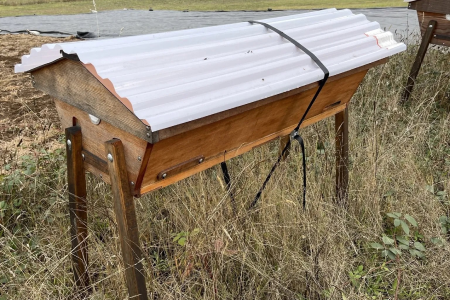 Thoughts On Hive Winterization