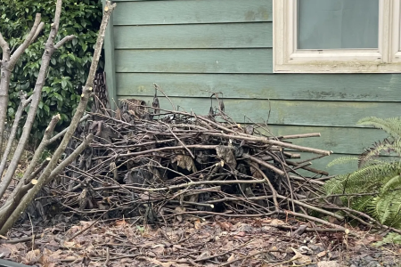 How to Create a Managed Brush Pile