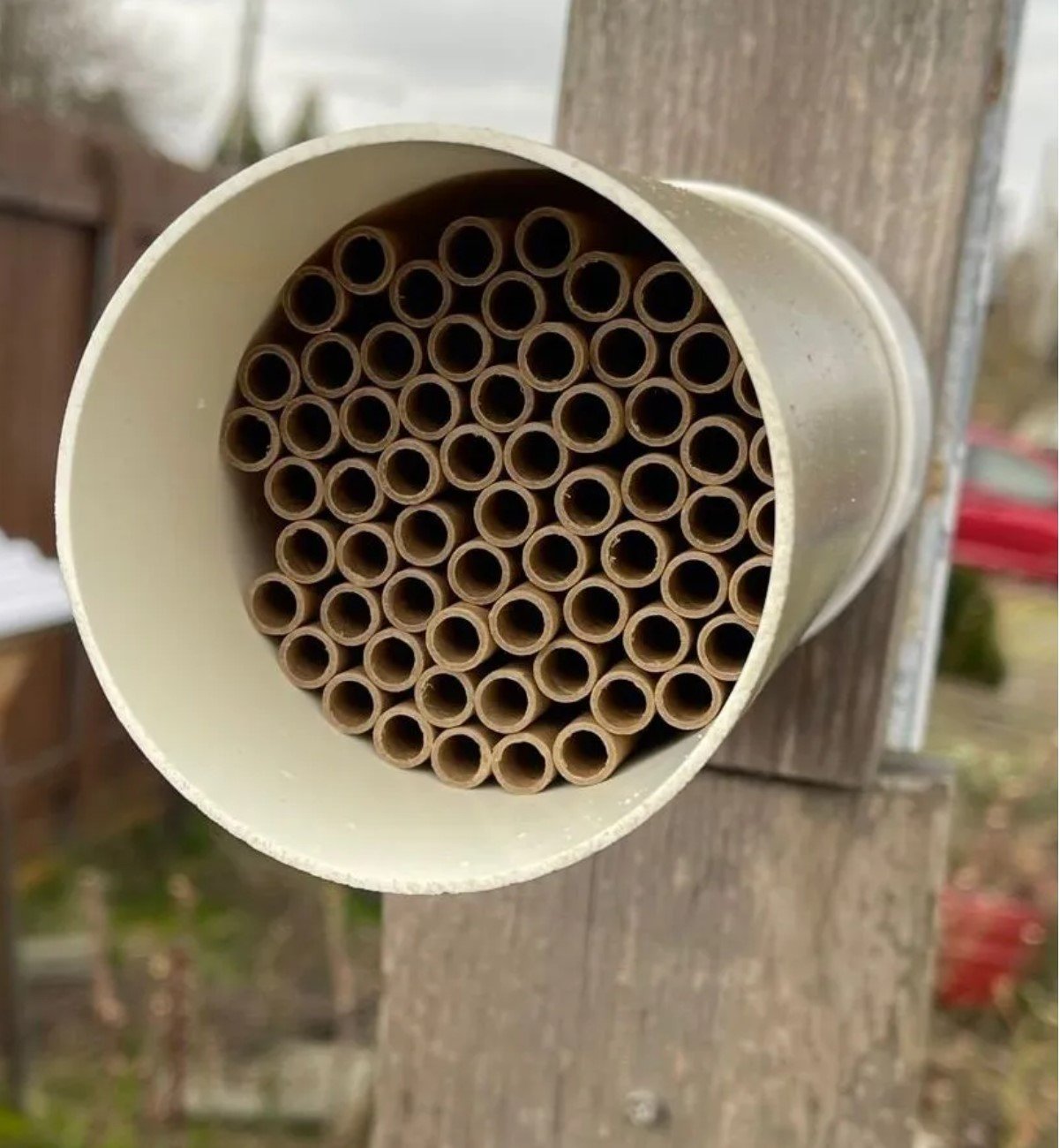 Mason Bee Houses