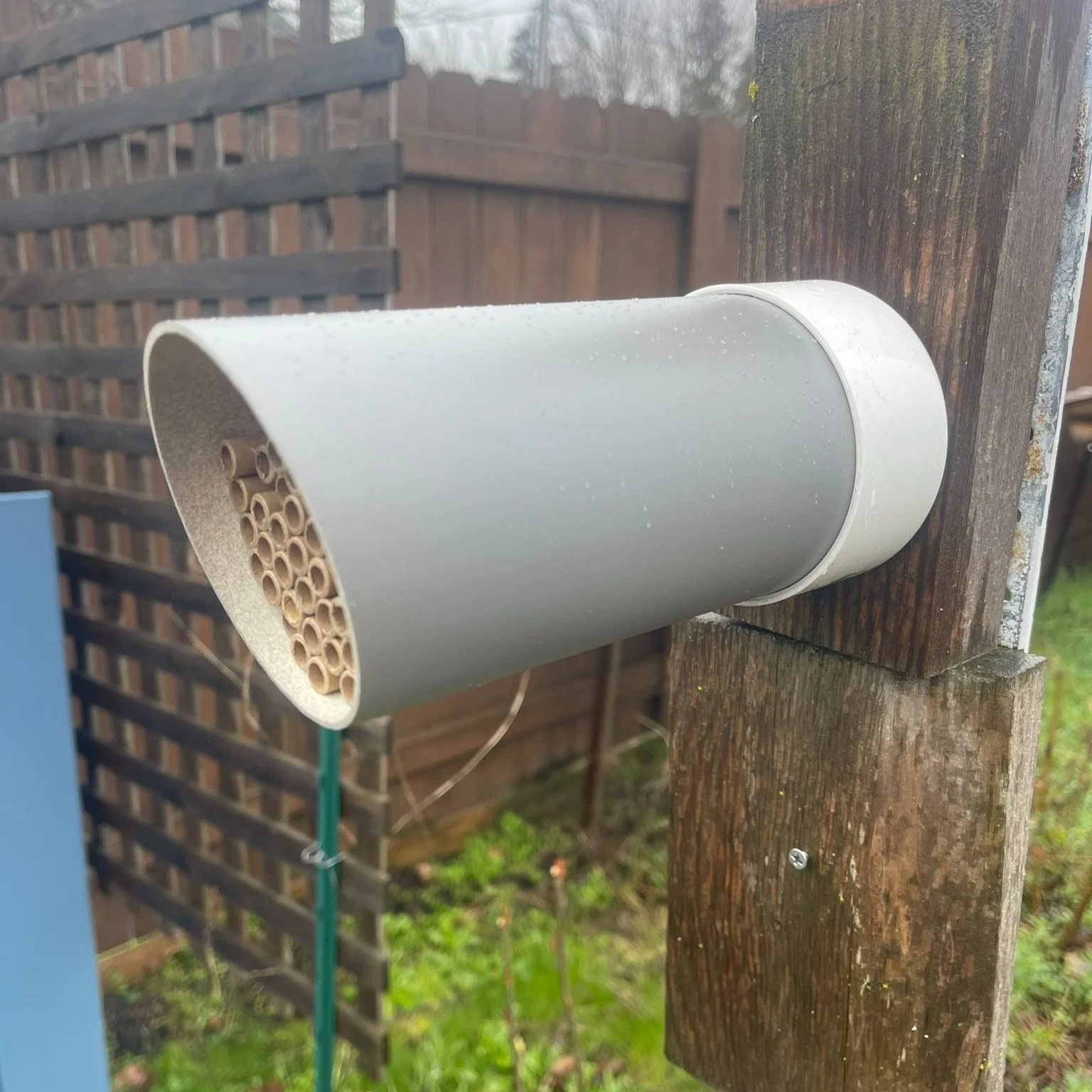 2024 Mason Bee House Sale - SOLD OUT FOR 2024