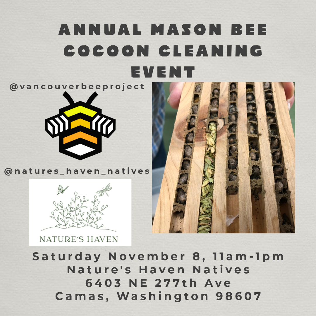 Mason Bees At Nature's Haven Natives!