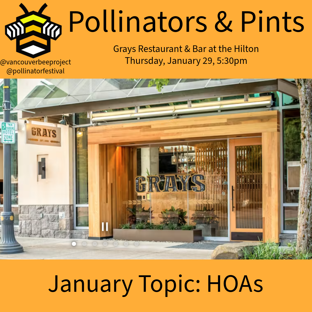 Pollinators & Pints