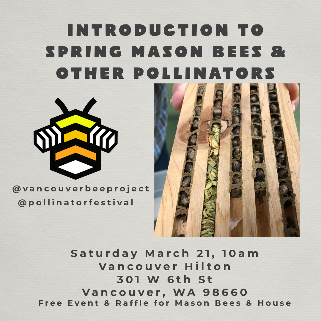 Spring Mason Bees & Other Pollinators