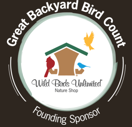 The Great Backyard Bird Count 2026: The Easiest Adventure You’ll Have All Winter