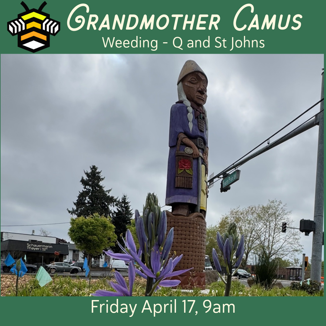 Grandmother Camus Mulching and Weeding