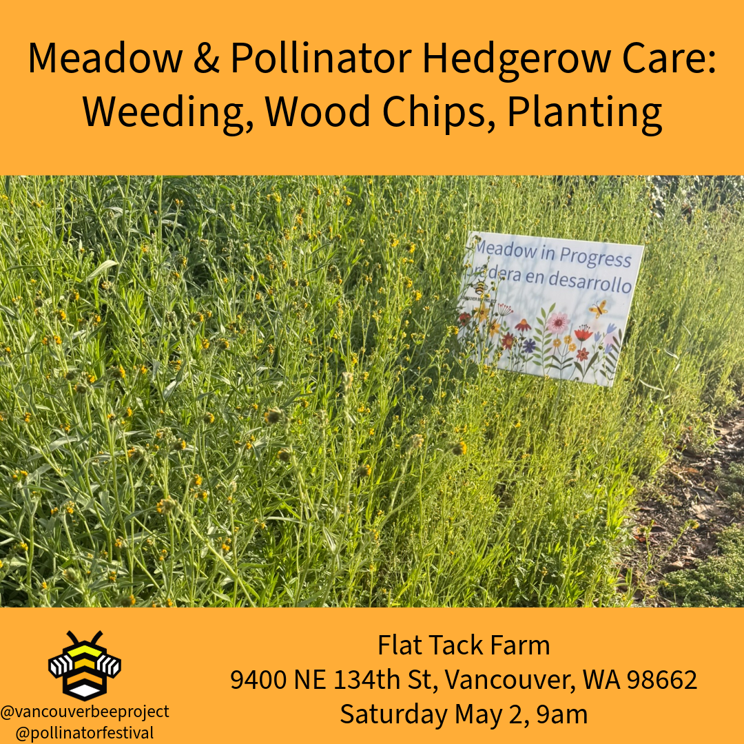 Meadow & Pollinator Hedgerow Care Workshop