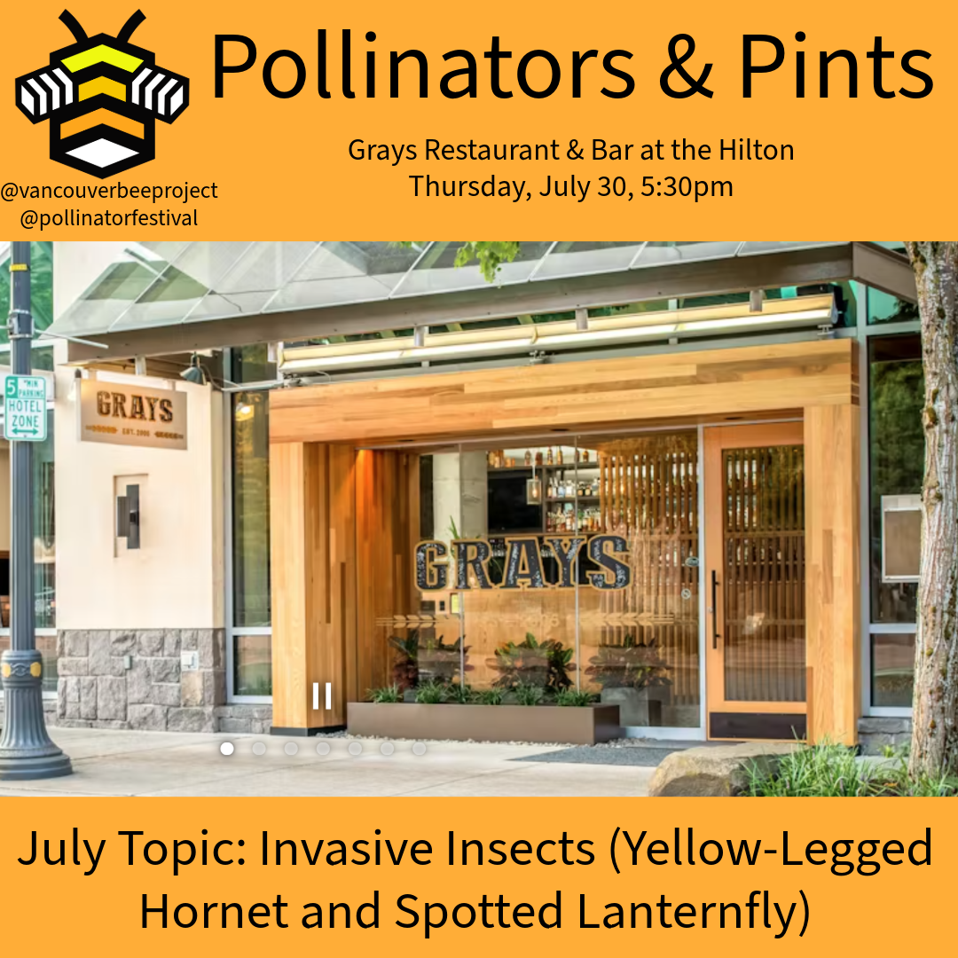 Pollinators & Pints
