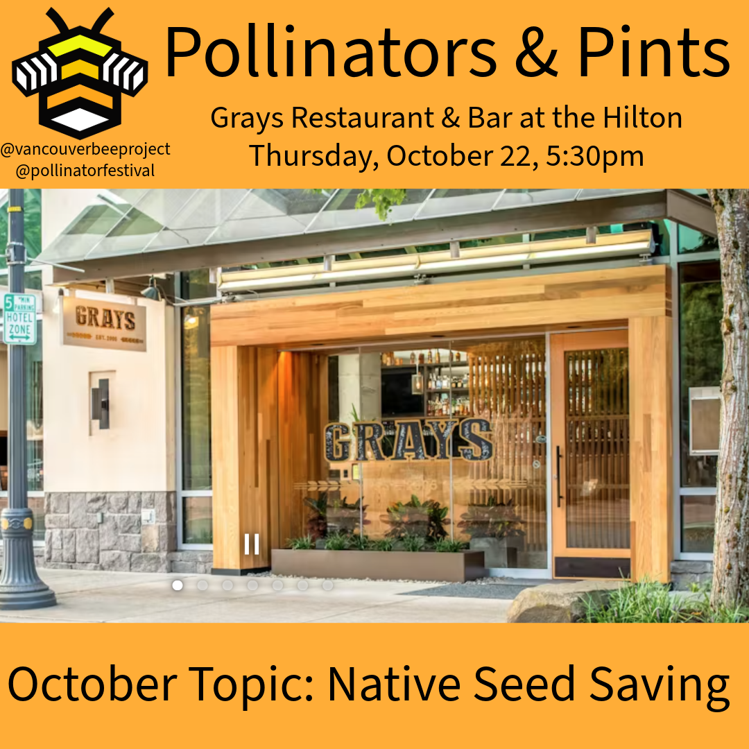 Pollinators & Pints
