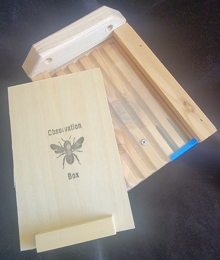 Observation box 2.png