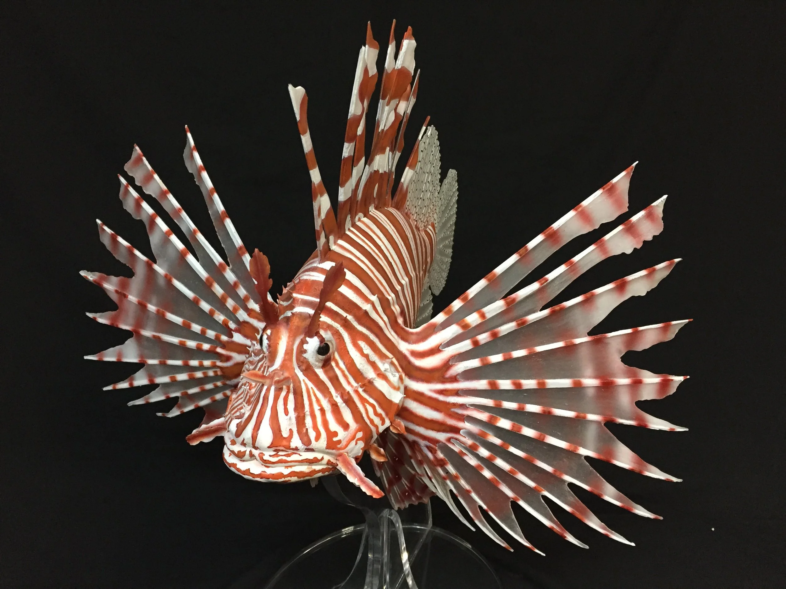 Photo Mar 28, 7 50 13 AM.jpg