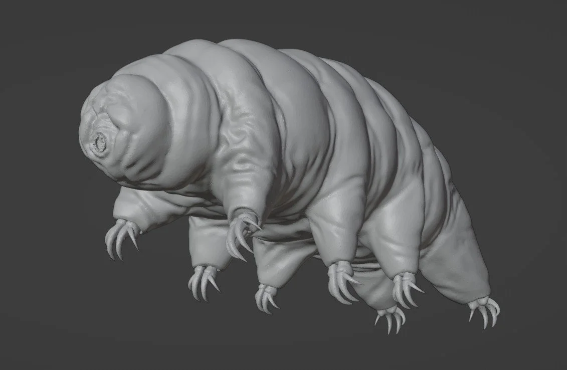 Tardigrade.jpg