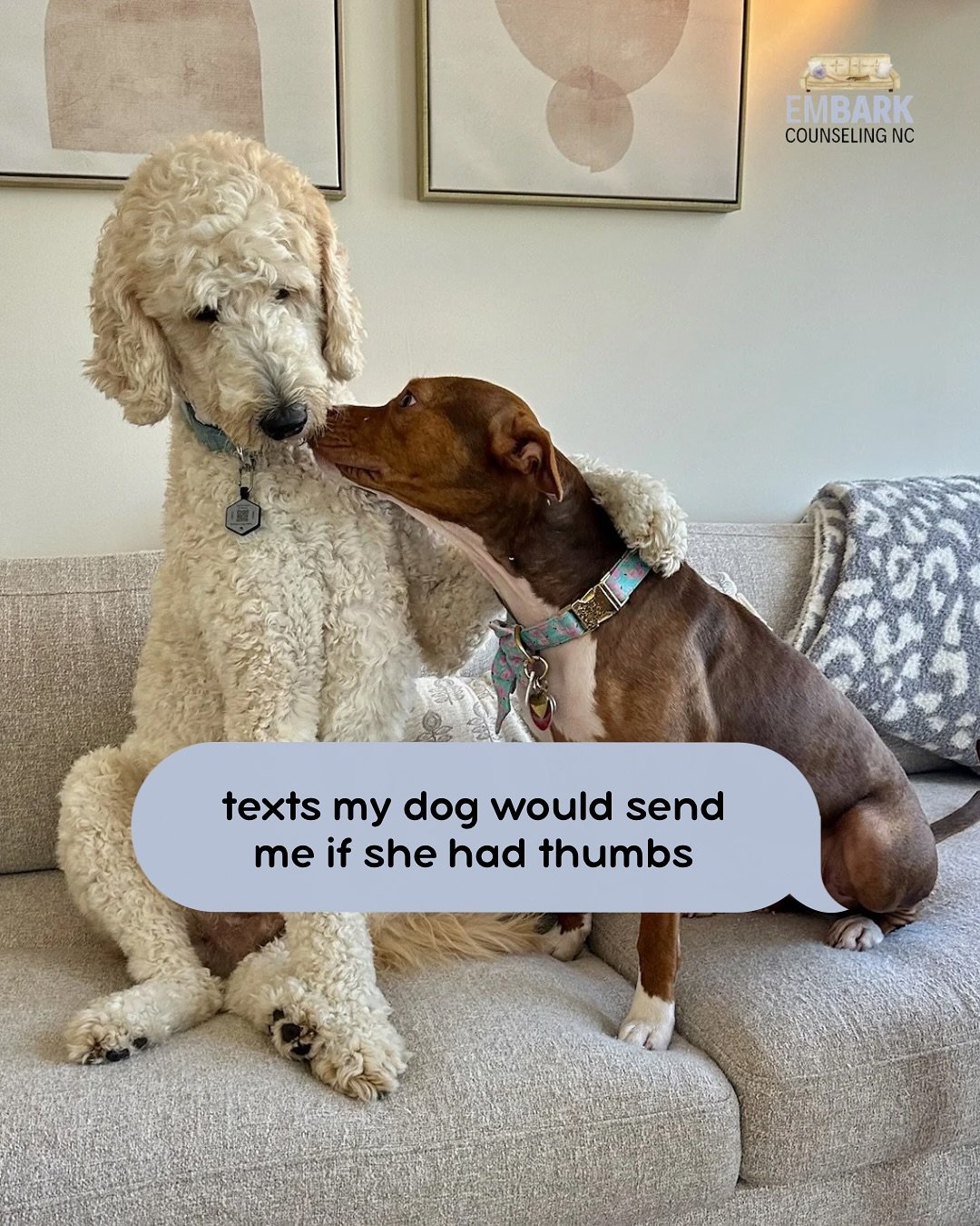 Just Maple Spice keeping me updated on all urgent matters: snacks, squirrels, and emotional needs. 😉🐾🫶🏼

#therapydog #therapydogsofinstagram #therapydogs #animalassistedtherapy #doghumor #doglovers #dogsofinstagram #dogmom #therapyhumor