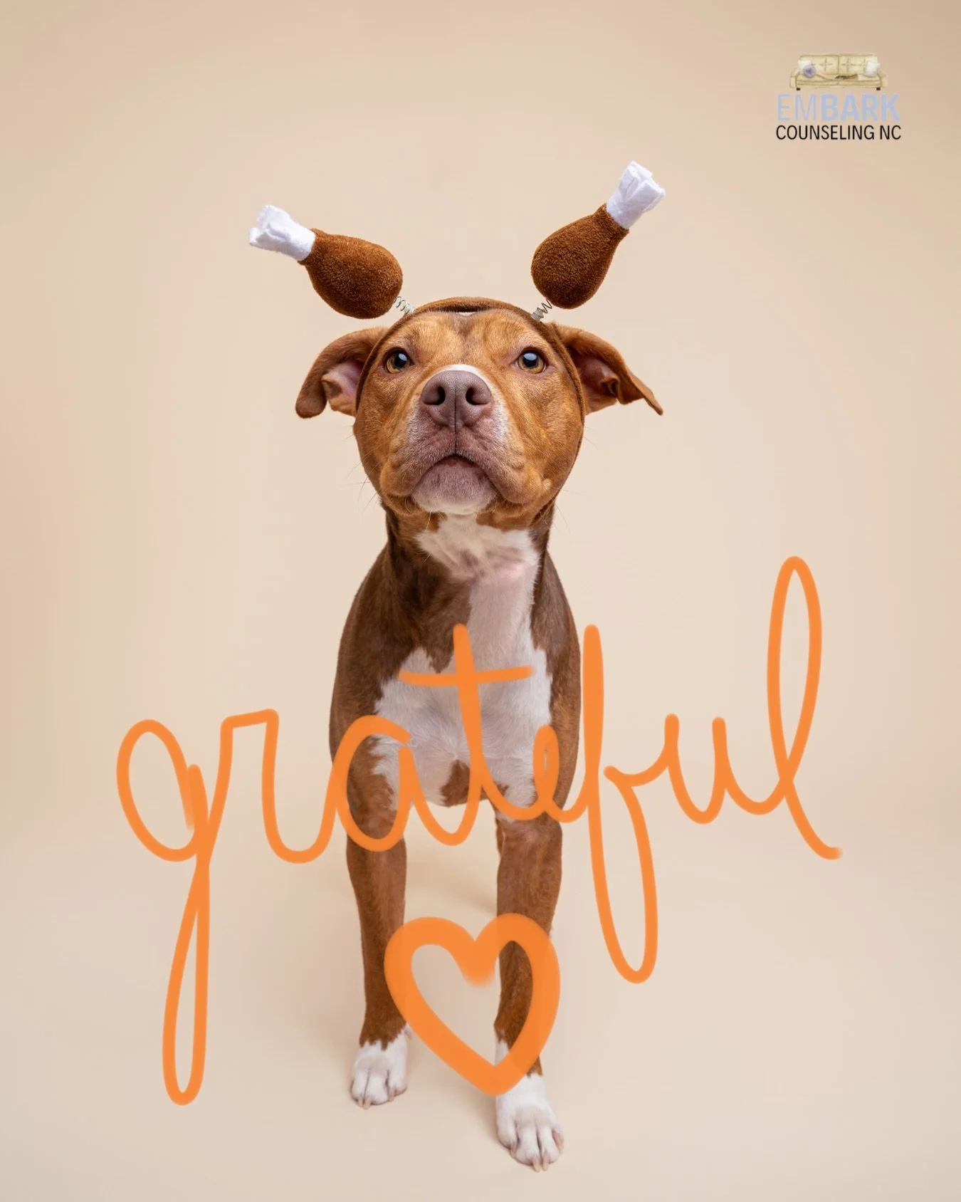 A Thanksgiving reminder from Maple:

Take the nap. Savor the moment. Save room for joy (and pie). ✨🥧🍗

Feeling extra grateful for this community, our clients, and every moment of joy these pups bring into the world. Happy Thanksgiving from all of u