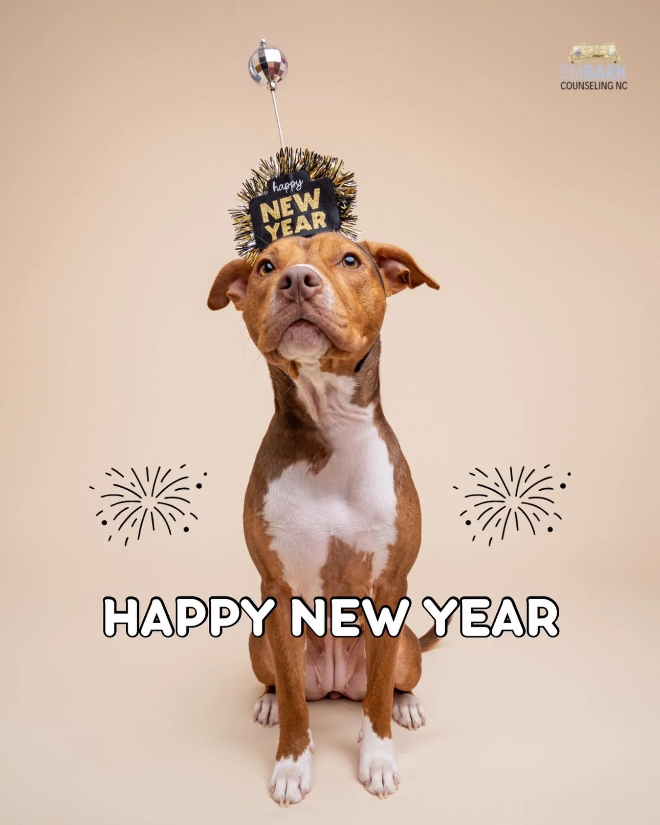 New year, same good girl energy ✨🐾 Here&rsquo;s to more treats, more naps, and fewer fireworks. 🥰

📸 @the_photo_district_nc 

#animalassistedtherapy #therapydogs #therapydogintraining #therapydogsofinstagram