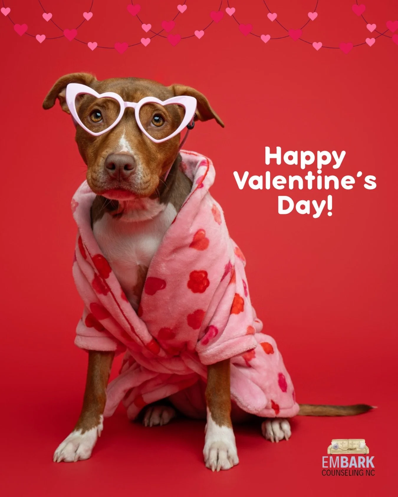 Maple Spice here to remind you that love looks like belly rubs, treats, and being exactly who you are. 💕🐾

Wishing you the most love-filled Valentine&rsquo;s Day! 💌

📸 @the_photo_district_nc 

#animalassistedtherapy #therapydogs #therapydogintrai
