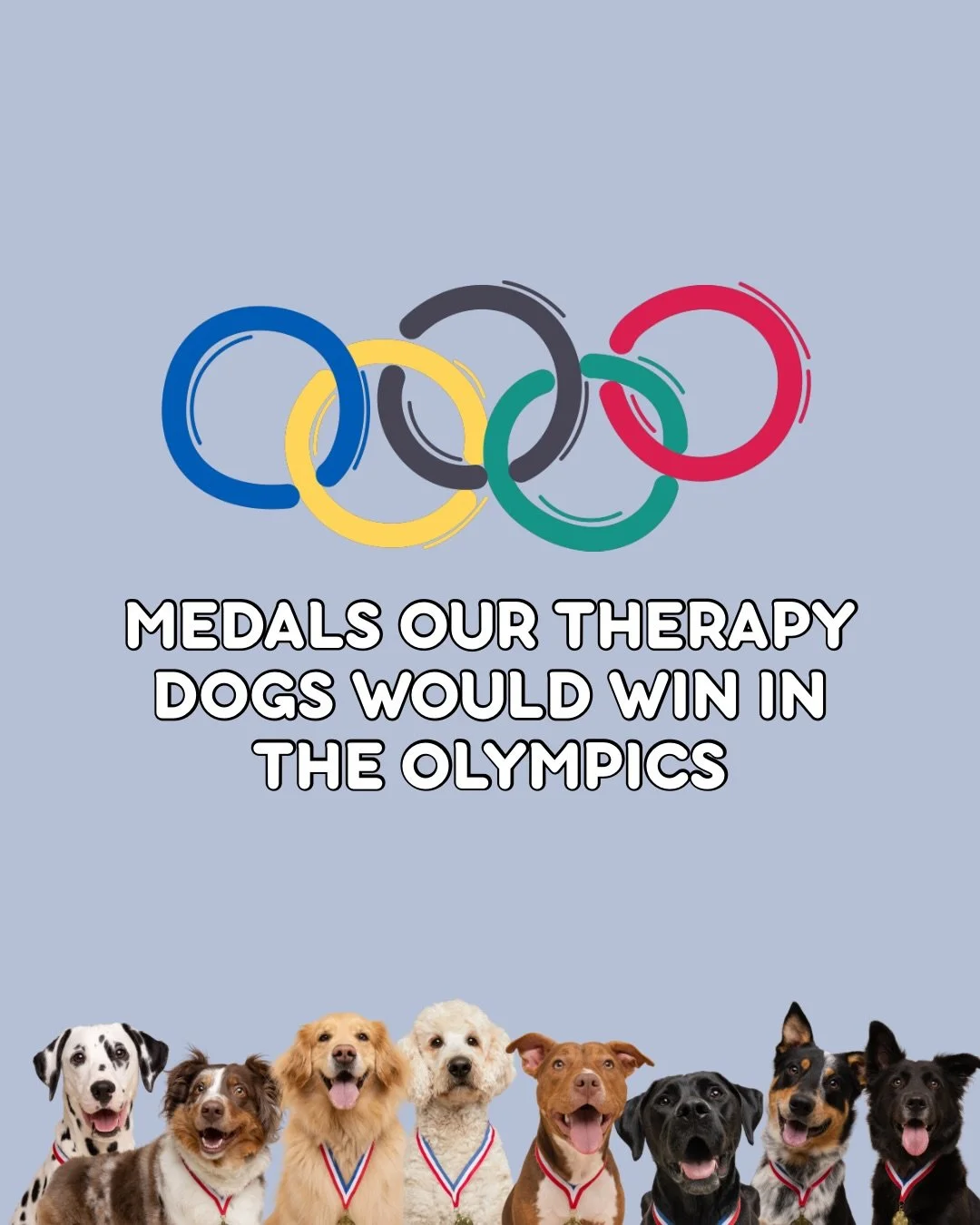 The Paw-lympics are officially underway 🐾🏅

Turns out our therapy dogs don&rsquo;t just support your nervous system&hellip; they&rsquo;re elite-level athletes.

From co-regulation diving to zoomie sprints to heavyweight snugglelifting, the competit