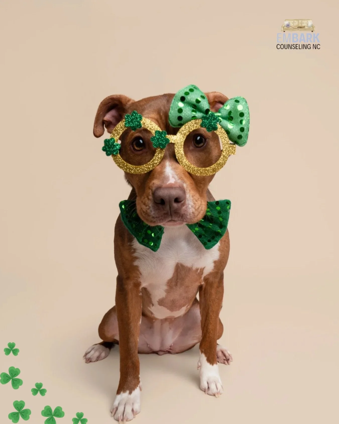 Maple Spice believes she is the gold at the end of the rainbow ☘️ and we hope you start believing that about yourself too! ✨🌈🐾

Happy St. Patrick&rsquo;s Day from Embark! 🫶🏼

📸 @the_photo_district_nc 

#animalassistedtherapy #therapydogs #therap