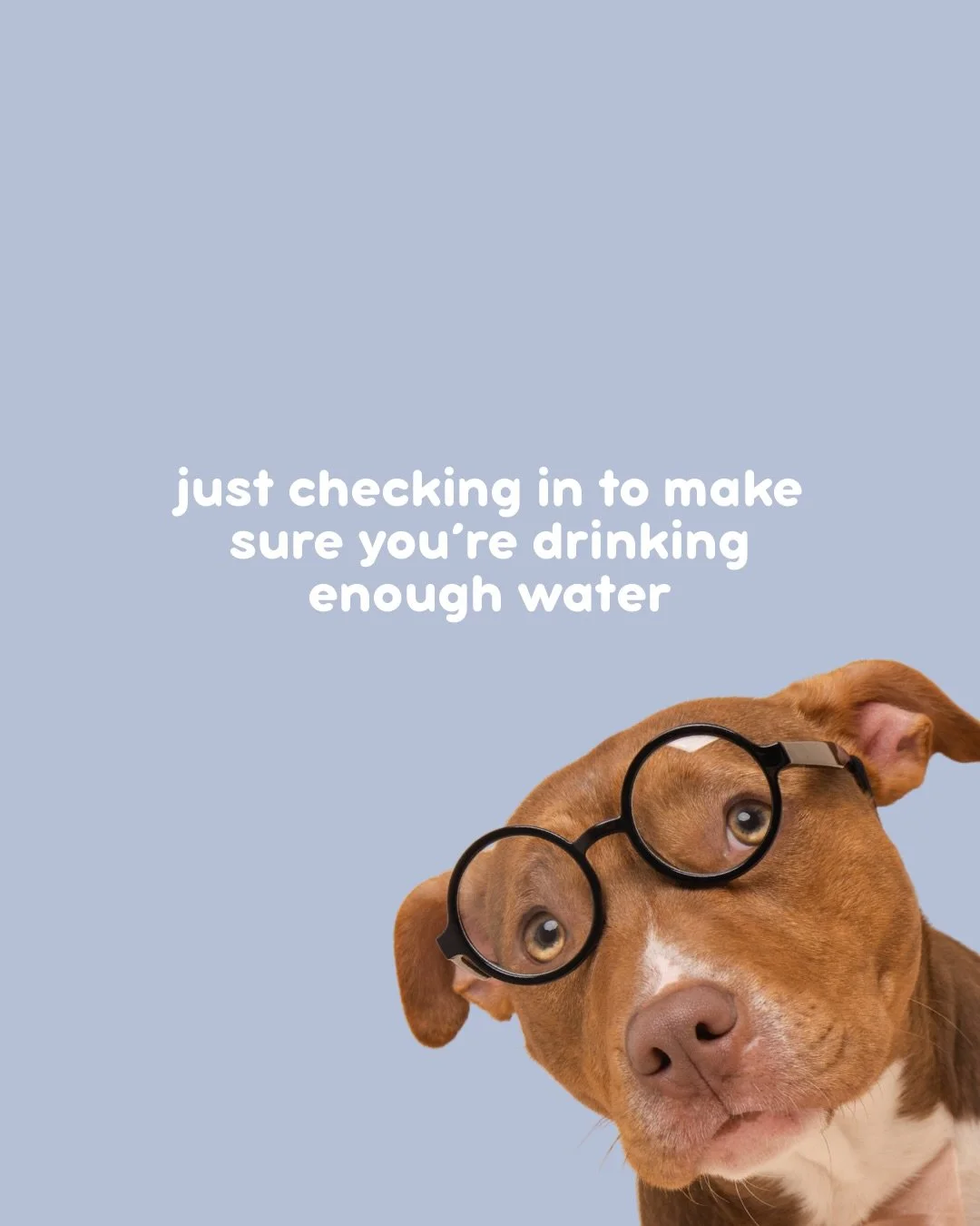 Midweek Maple check-in ✨💖🐾

#animalassistedtherapy #therapydogs #therapydogsofinstagram #therapydogintraining