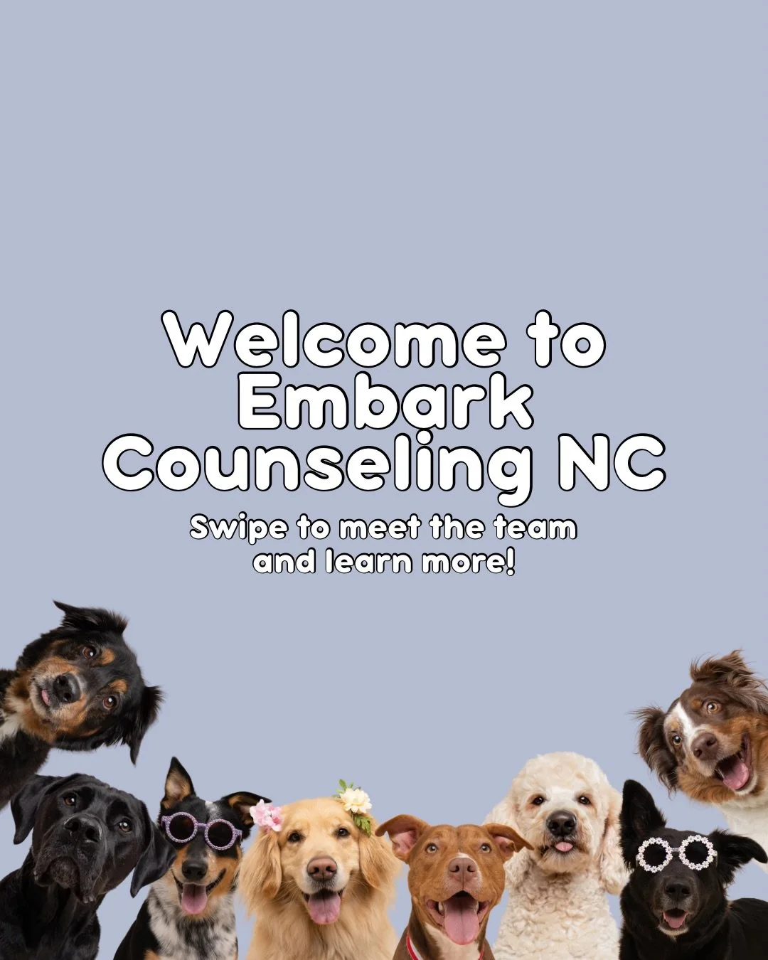 ✨ Meet the Embark Counseling NC team ✨

At Embark, we offer animal-assisted therapy &mdash; an evidence-based approach that helps clients feel more safe, regulated, and supported in session 🐾 Our certified therapy dogs are part of the magic! 

We wo