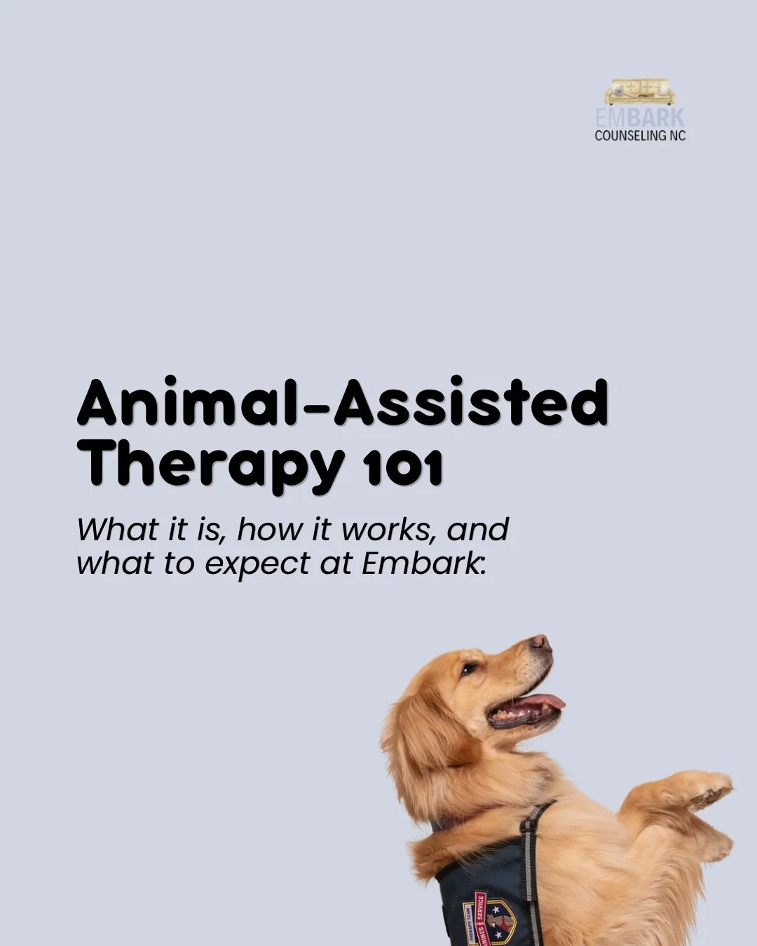 You don&rsquo;t have to earn a therapy dog&rsquo;s affection, explain yourself perfectly, or have everything figured out before walking through the door. 🤍

That&rsquo;s part of what makes animal-assisted therapy so powerful.

Our therapy dogs help 
