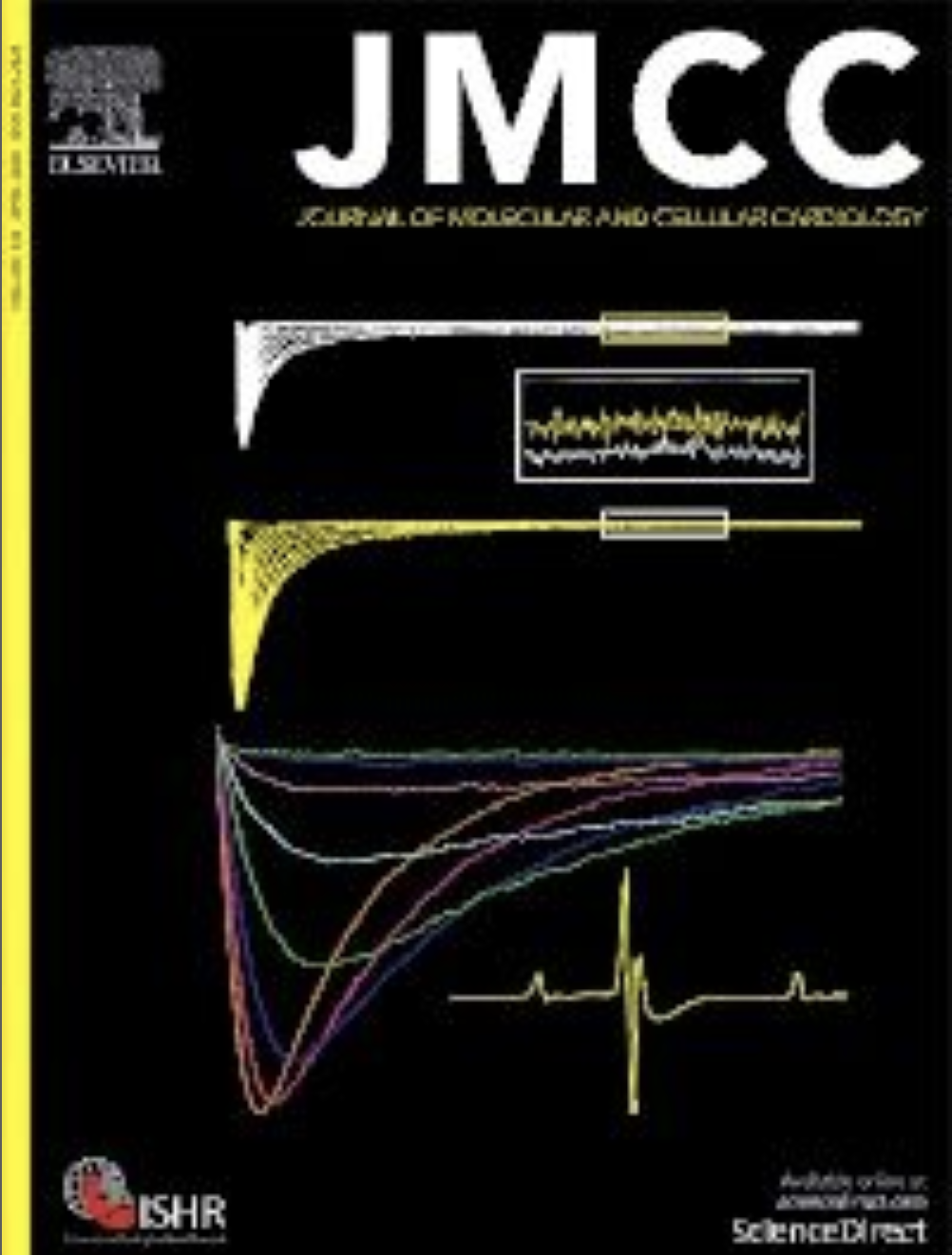 Screen Shot 2023-02-09 at 2.15.34 PM.png