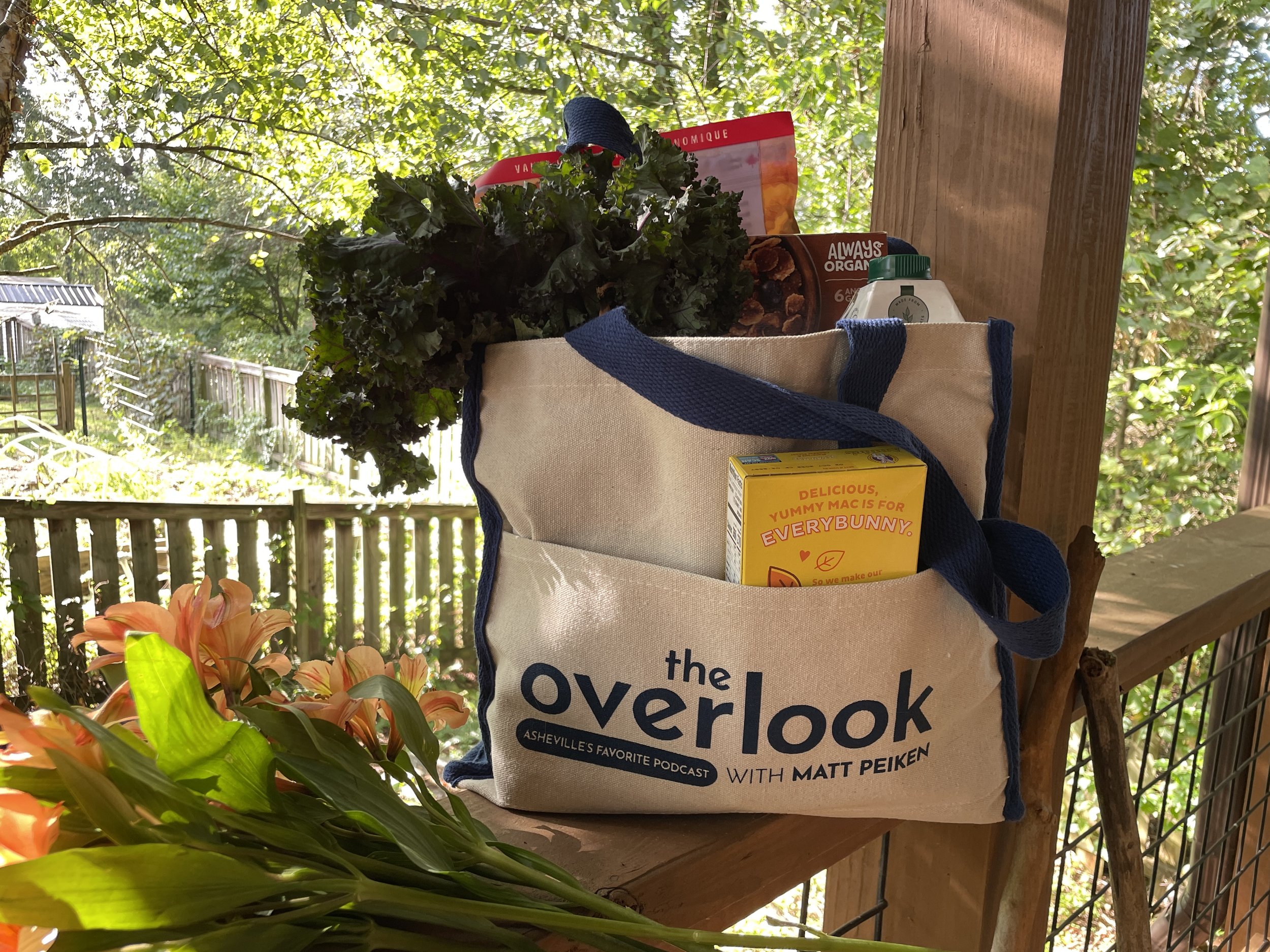 Tote bag in use.jpeg
