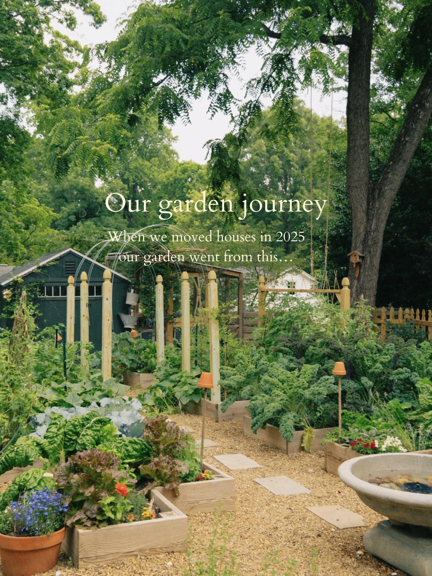 Every space has potential and when Eric and I say this magical little shed we instantly had a vision of it becoming the center of our new kitchen garden 🥹 moving on from our old garden was incredibly hard because we had poured countless hours of wor