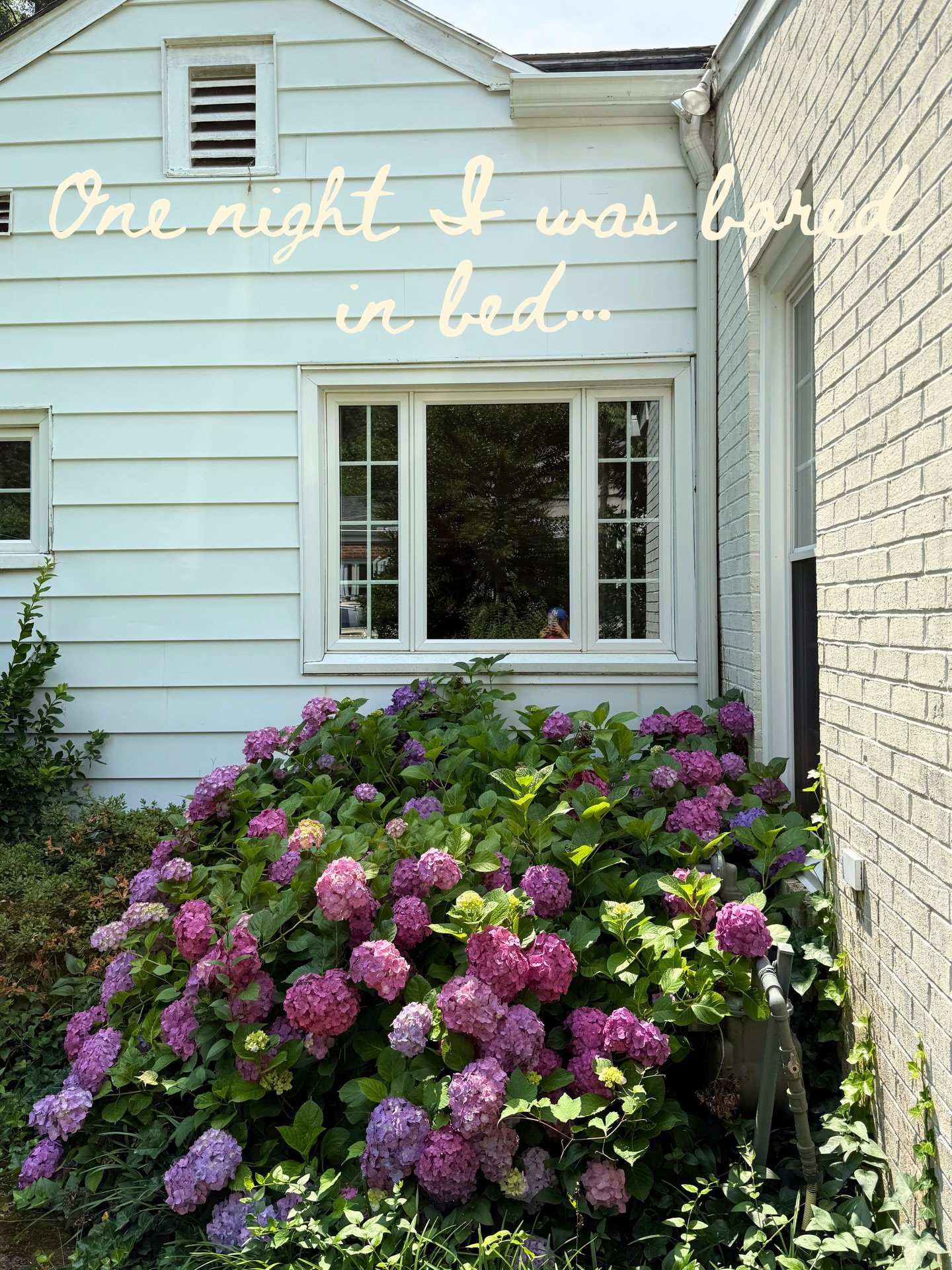 Truly just vibes and feminine intuition. When we saw this house online last June we were not in the market for a new house, we knew eventually we wanted more space but we weren&rsquo;t in a rush. I saw this house one night on the internet (literally)