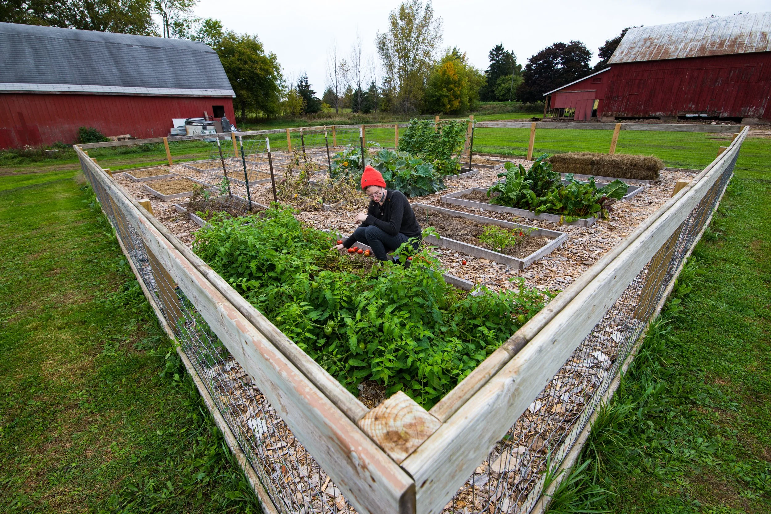 The Production Farm