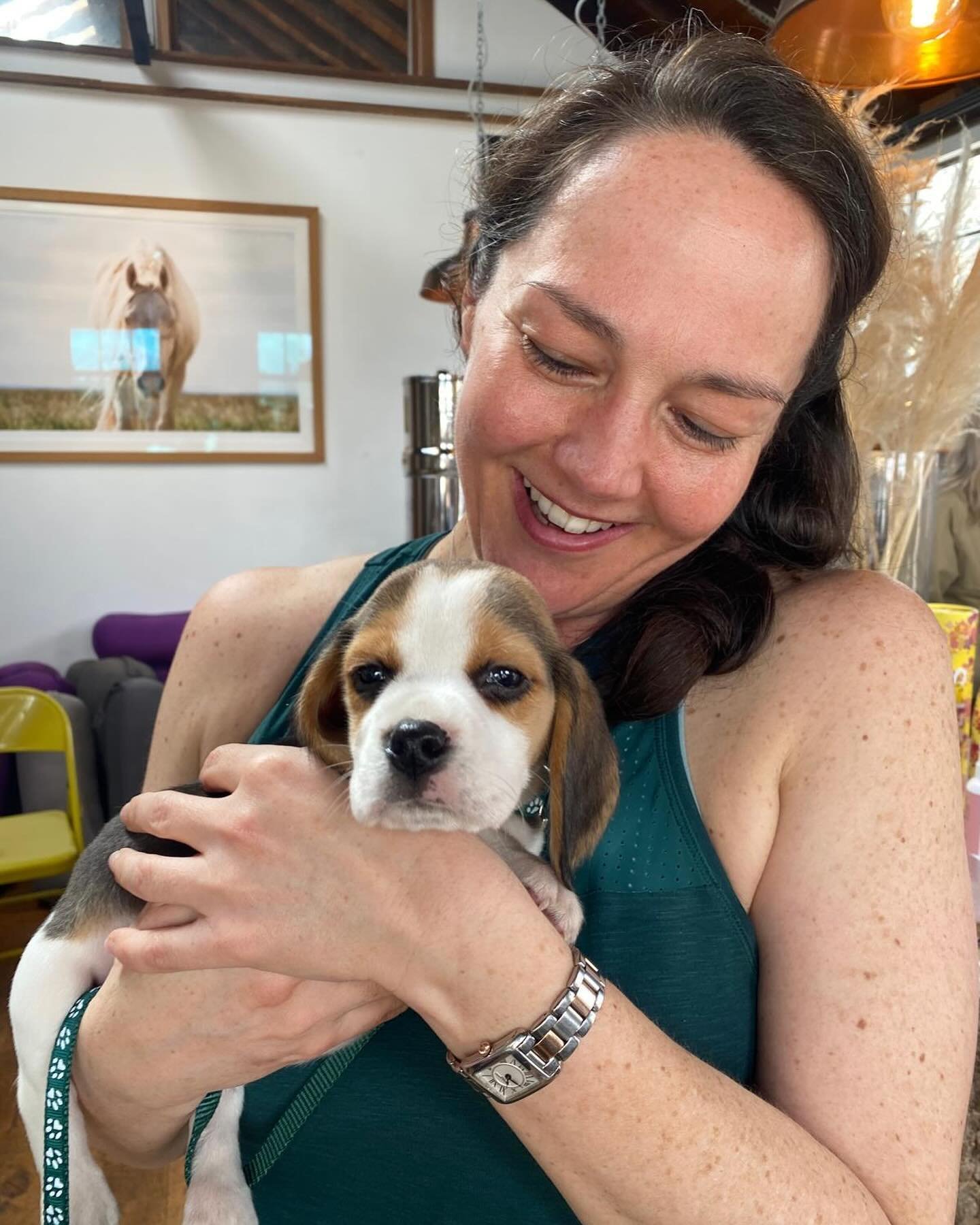 What a treat! Got to meet and have a cuddle with this handsome chap between yoga classes at Yard Yoga this morning. 

@daphneh_c &lsquo;s new puppy - Pippin! 

Perfect start to the day! 

Happy Easter and Holidays to all celebrating this weekend. 

#