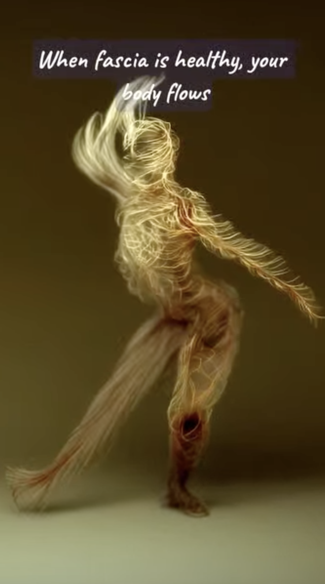 An Introduction To Fascia