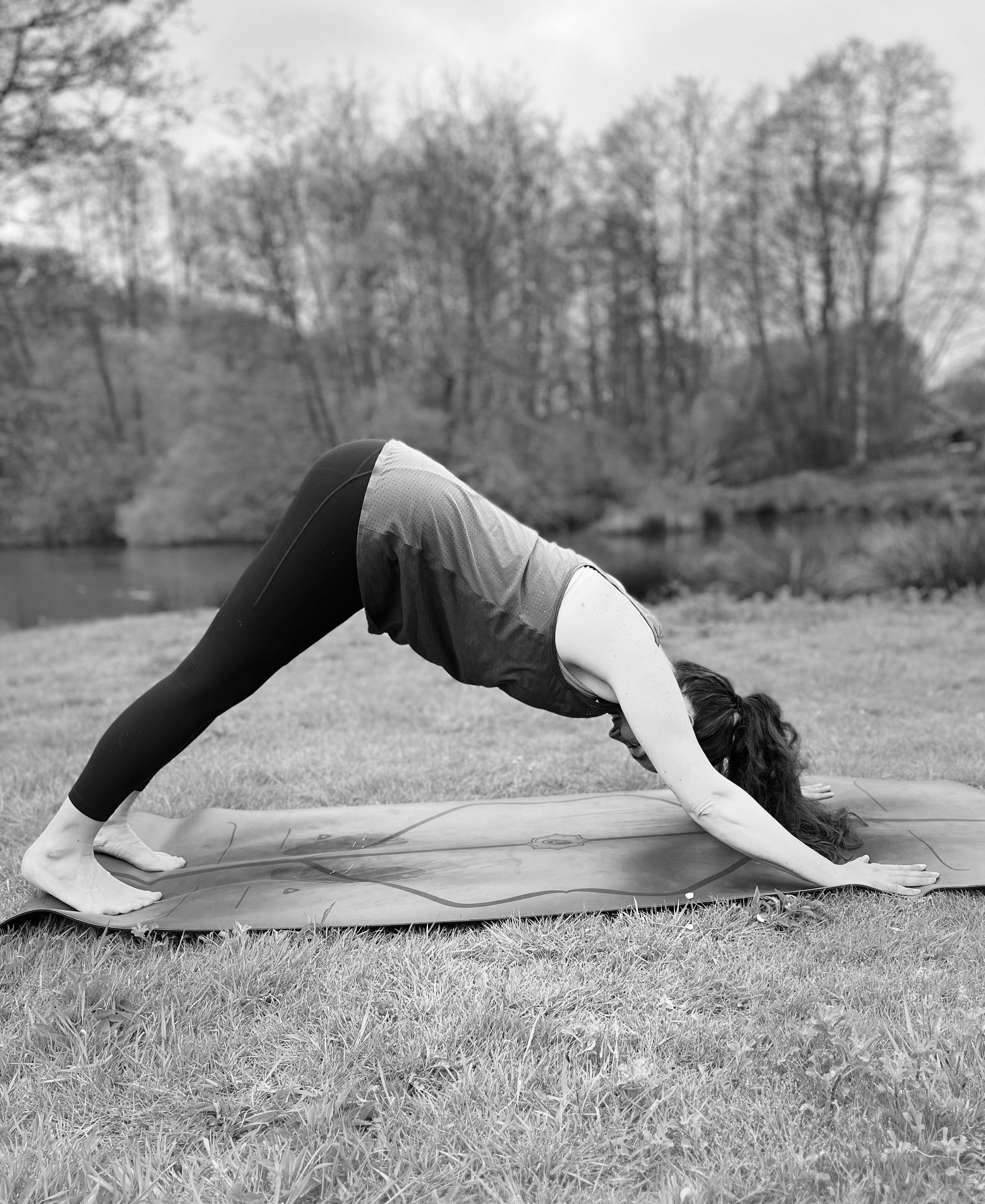 Downward dog outside by a lake.