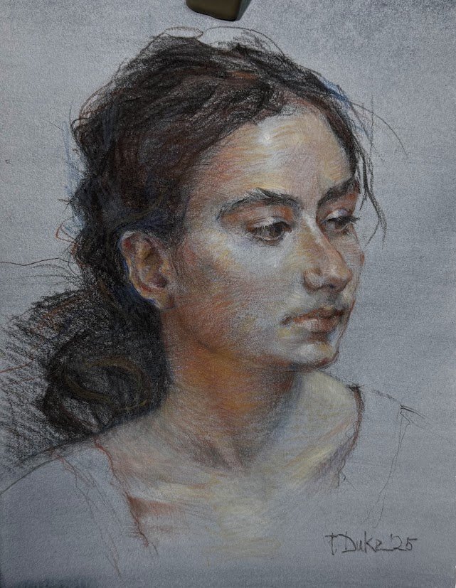 Settia, Charcoal and Pastel on Hand Toned Paper, 11 x 14 inches