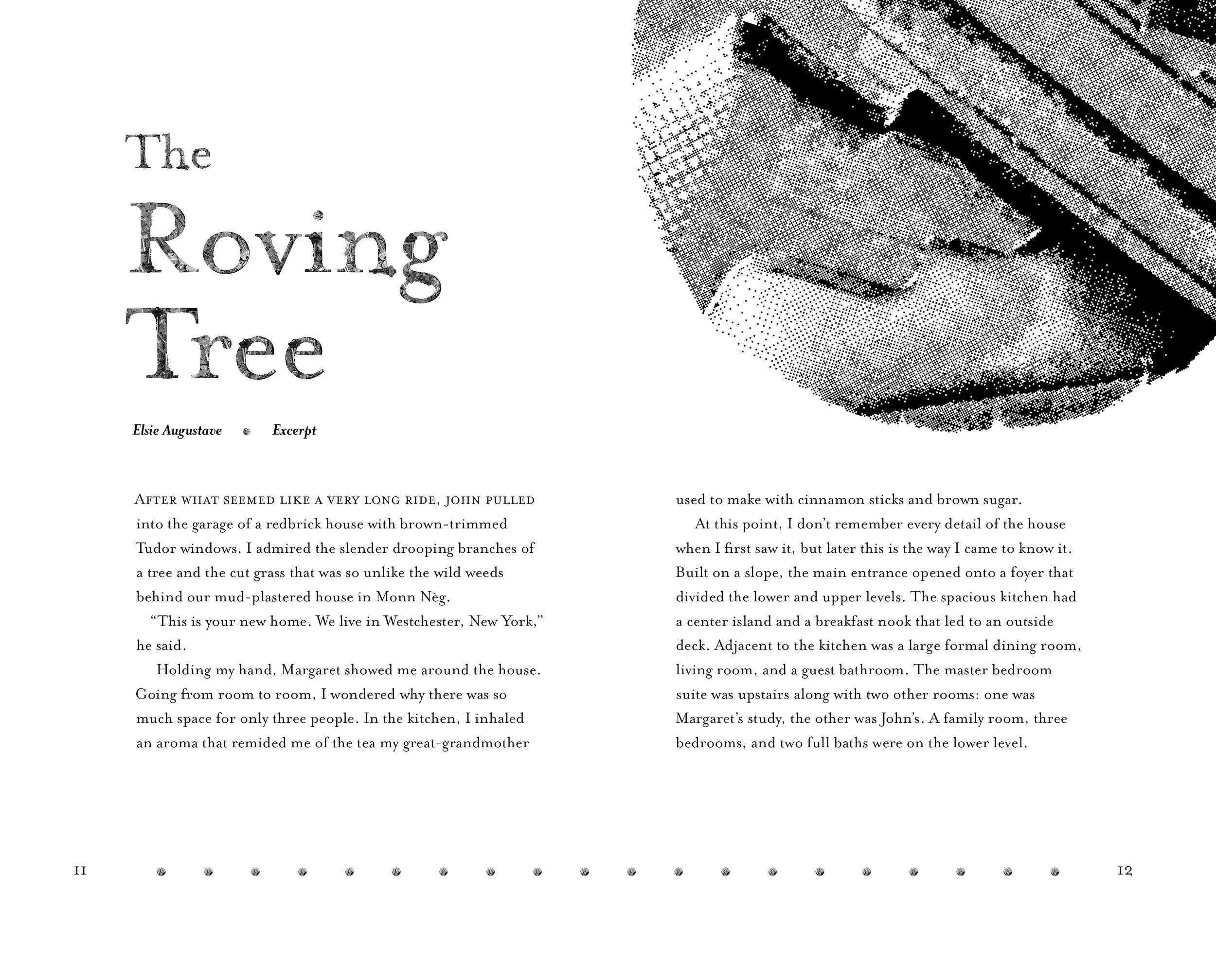 Displaced Book new text10.jpg