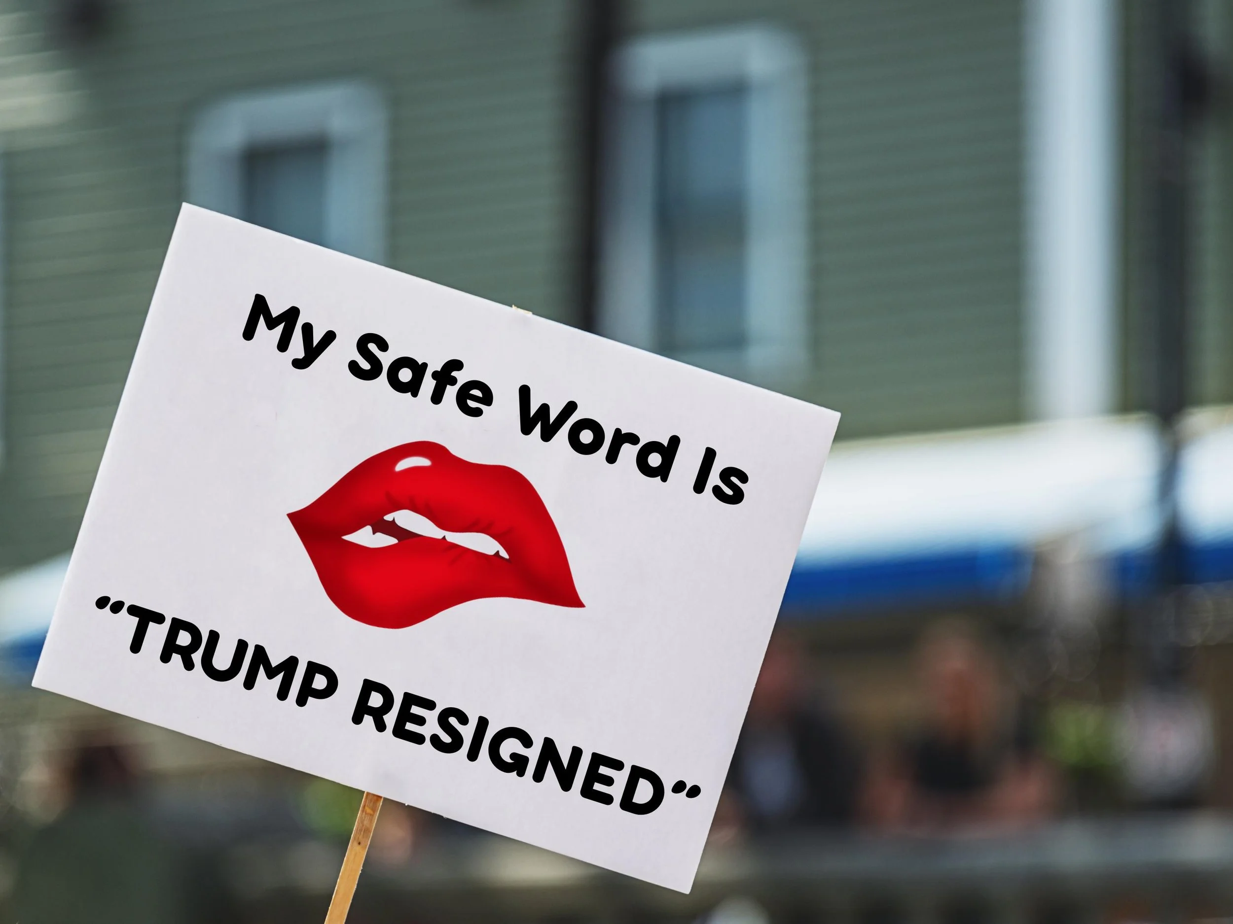 https://i.etsystatic.com/14514515/r/il/4960d3/6869443366/il_fullxfull.6869443366_orzs.jpg