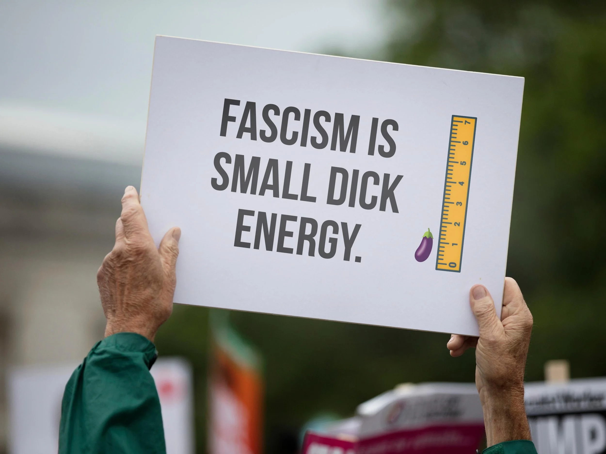 https://i.etsystatic.com/14514515/r/il/f4c327/6869444176/il_fullxfull.6869444176_fvqf.jpg