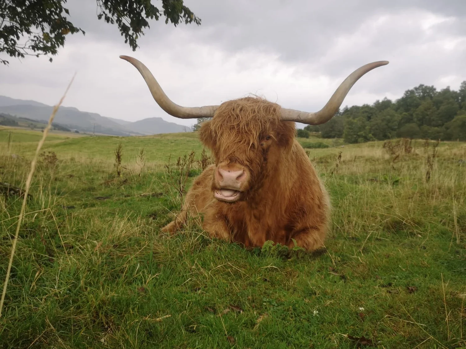 Seawolf Wildlife Tours