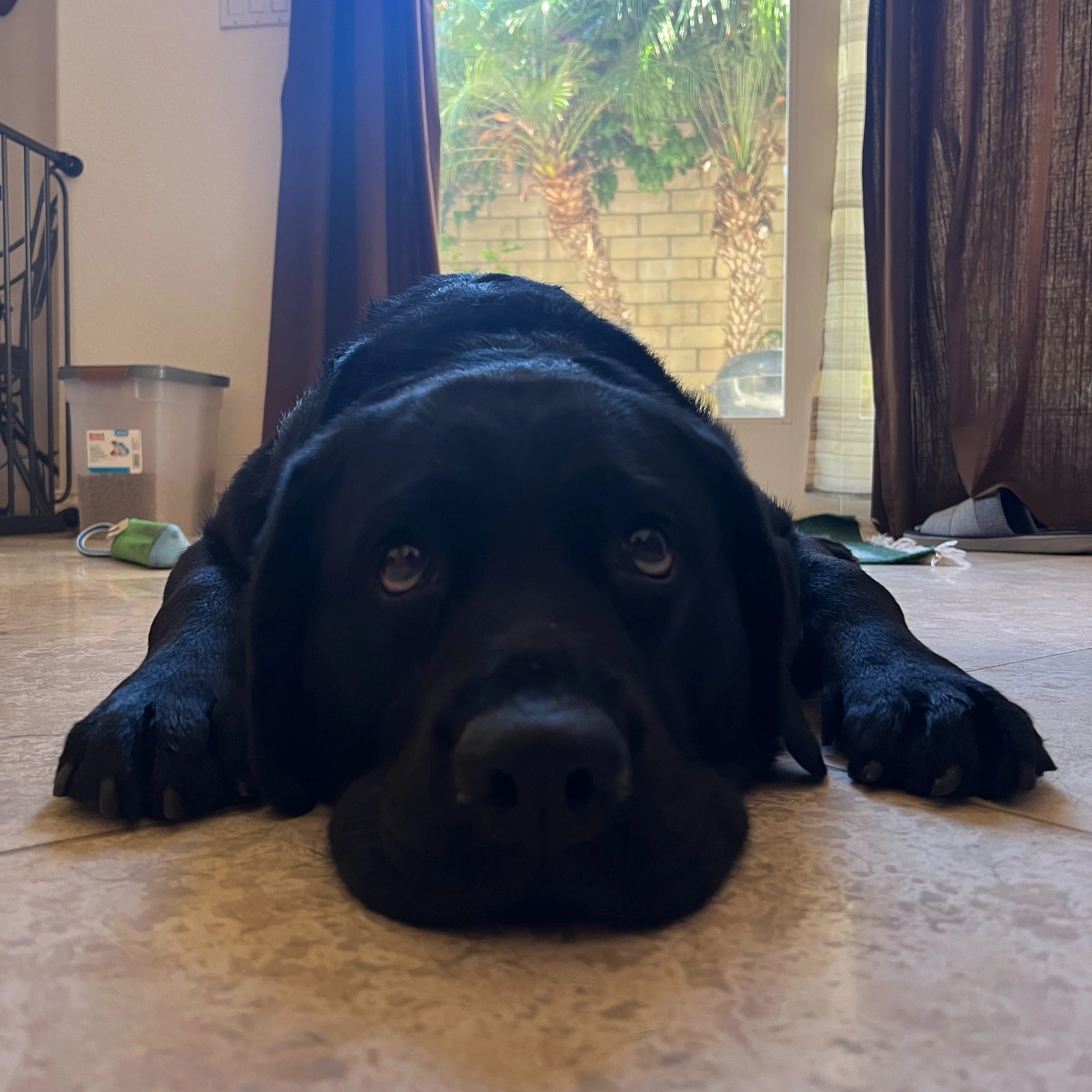 log 53: updates